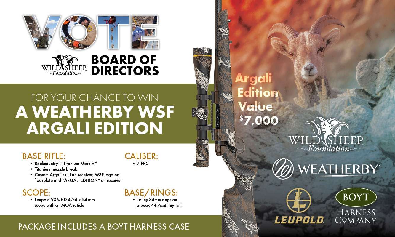 Ad for board of directors election voting